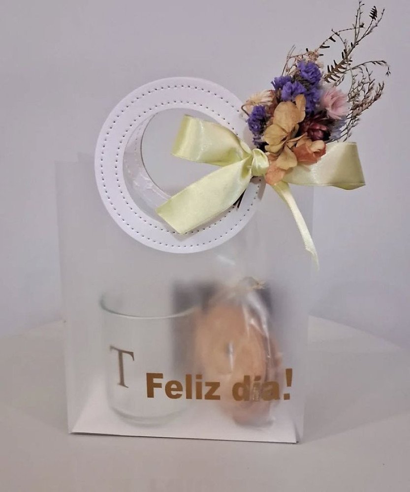 Translucent Goodie Bag Square | Gift Packing Bag | Party Favor Bag | Goodie Bag for Birthday & Events