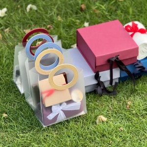 Translucent Goodie Bag Square | Gift Packing Bag | Party Favor Bag | Goodie Bag for Birthday & Events